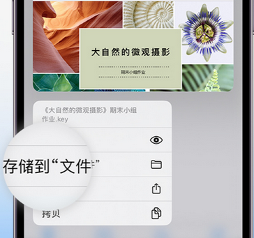 柯城apple维修中心分享iPhone文件应用中存储和找到下载文件