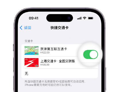 柯城apple维修点分享iPhone上更换Apple Pay快捷交通卡手绘卡面 