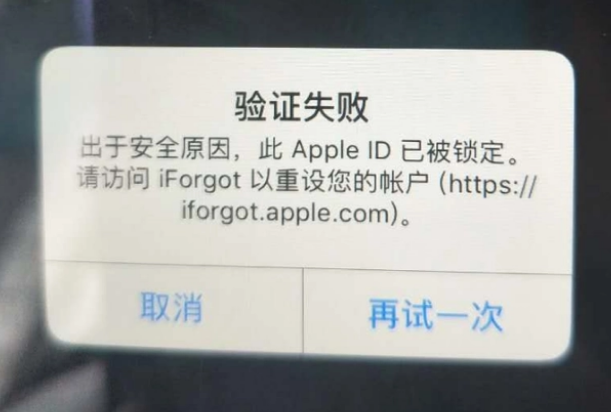 柯城iPhone维修分享iPhone上正常登录或使用AppleID怎么办 