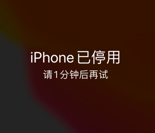 柯城苹果手机维修分享:iPhone 显示“不可用”或“已停用”怎么办？还能保留数据吗？ 