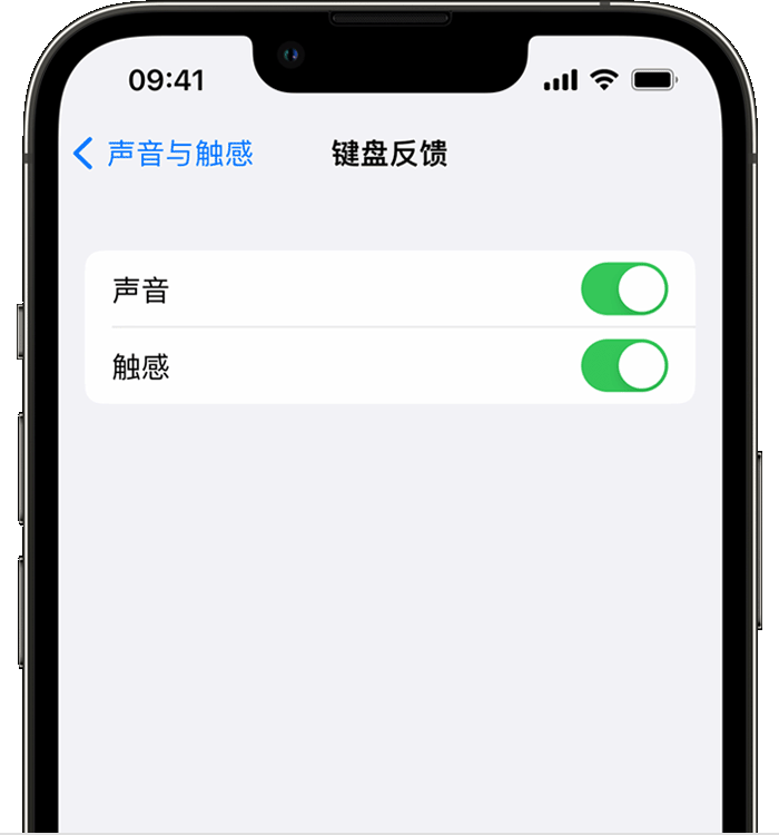 柯城苹果14维修店分享如何在 iPhone 14 机型中使用触感键盘 