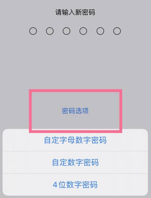 柯城苹果14维修分享iPhone 14plus设置密码的方法 