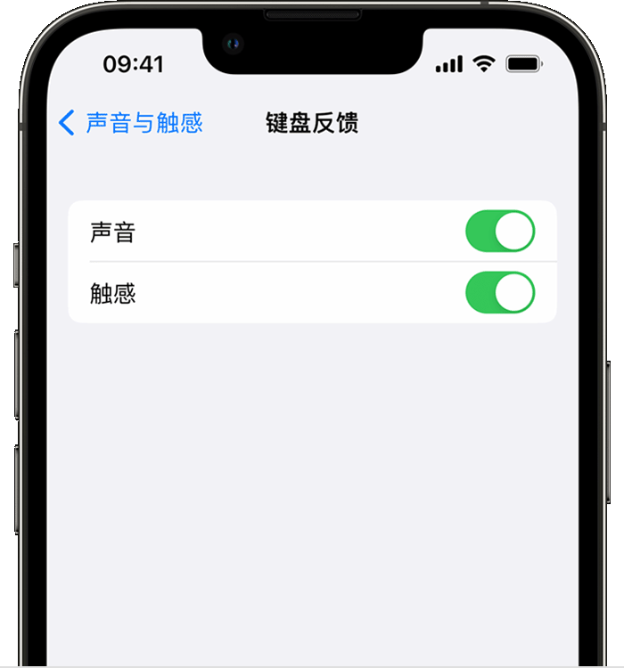 柯城苹果14维修分享iPhone 14 系列机型如何开启键盘声音或触感反馈 