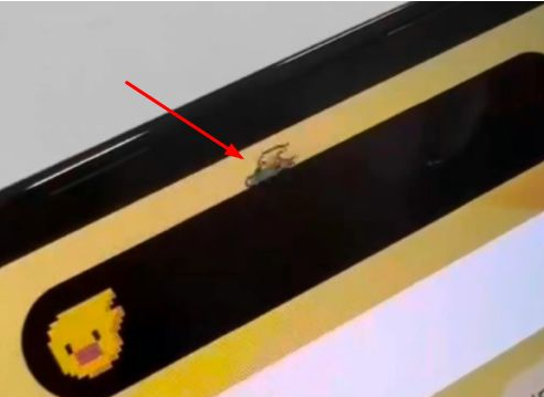 柯城苹果14维修分享iPhone 14 Pro Max灵动岛怎么养宠物 