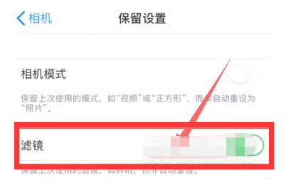 柯城苹果13维修分享iPhone13拍照有绿点是怎么回事 