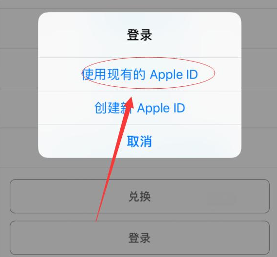 柯城苹果手机维修分享两台iPhone设备可以同时登录一个Apple ID吗 