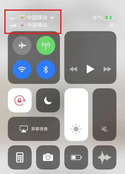 柯城苹果手机维修分享为 iPhone 12 双卡设置标签 