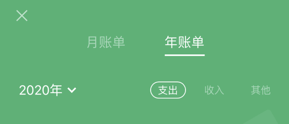 柯城苹果手机维修分享如何在 iPhone 上查看支付宝和微信年支出账单 