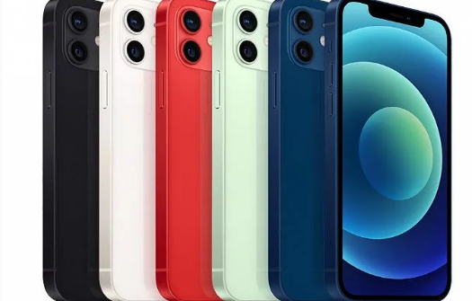 柯城苹果维修点分享iPhone12 Pro Max进水维修 